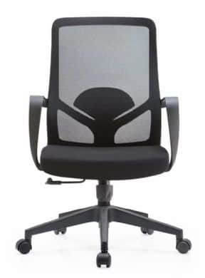 שלי שחור 1